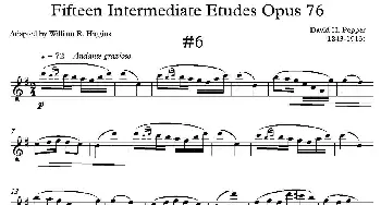 萨克斯谱 | 中级练习曲15首 Op76(6)D·波帕尔
