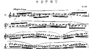 萨克斯谱 | 萨克斯练习曲合集(5—23）半音阶练习  海因茨