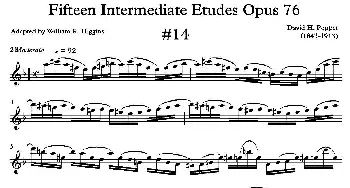 萨克斯谱 | 中级练习曲15首 Op76(14)D·波帕尔