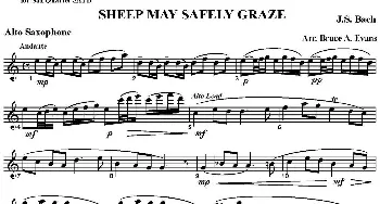 萨克斯谱 | SHEEP MAY SAFELY GRAZE(四重奏·中音萨克斯分谱）