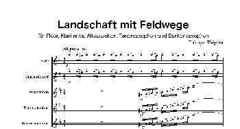 萨克斯谱 | Landschaft mit Feldwege(木管五重奏 总谱）