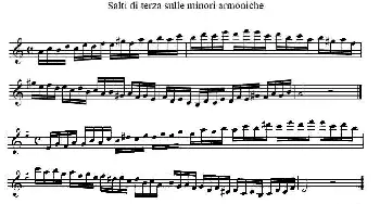 萨克斯谱 | Salti di terza sulle minori armooniche