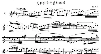 萨克斯谱 | 萨克斯练习曲合集(3—32）变化重音的6/8拍练习  费里格