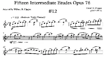 萨克斯谱 | 中级练习曲15首 Op76(12)D·波帕尔