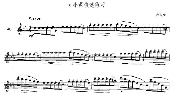 萨克斯谱 | 萨克斯练习曲合集(3—46）c小调快速练习  卢夫特