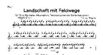 萨克斯谱 | Landschaft mit Feldwege(木管五重奏 分谱）