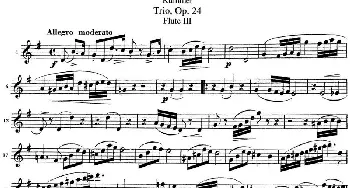 长笛曲谱 | 库默长笛三重奏Op.24(Flute 3)Kummer (库默）