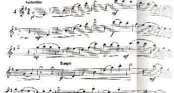 长笛曲谱 | 三十首小练习曲作品120号(NO.4)Garibold (加里波第）