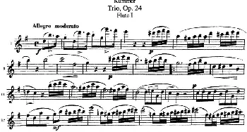 长笛曲谱 | 库默长笛三重奏Op.24(Flute 1)Kummer (库默）