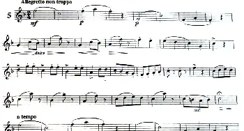 长笛曲谱 | 三十首小练习曲作品120号(NO.5)Garibold (加里波第）