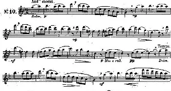 长笛曲谱 | 二十首练习曲作品131号(NO.10)Garibold (加里波第）