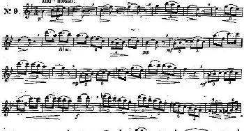 长笛曲谱 | 二十首练习曲作品131号(NO.9)Garibold (加里波第）