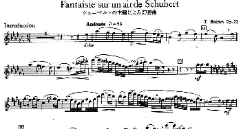 长笛曲谱 | fantaisie sur un air de Schubert  boehm