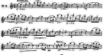 长笛曲谱 | 二十首练习曲作品131号(NO.6)Garibold (加里波第）