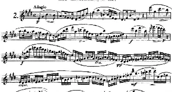 长笛曲谱 | 库劳长笛二重奏练习三段OP.102——Flute 1(NO.2)Kuhlau (库劳)