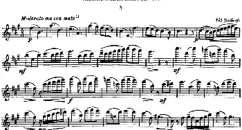 长笛曲谱 | 斯勒新老风格长笛练习重奏曲(第三部分)NO.5-NO.6  Siegfried Thiele S. (斯勒)