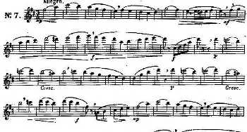 长笛曲谱 | 二十首练习曲作品131号(NO.7)Garibold (加里波第）