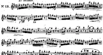 长笛曲谱 | 二十首练习曲作品131号(NO.18)Garibold (加里波第）