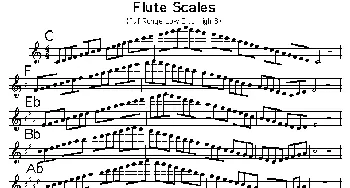长笛曲谱 | 长笛完整的大调音阶练习