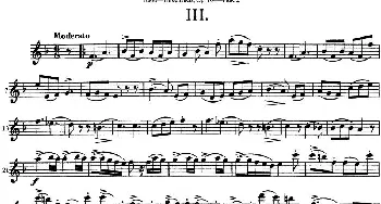 长笛曲谱 | 图露三首长笛简易重奏曲Op.104(Flute 2)NO.3  Tulou (图露）