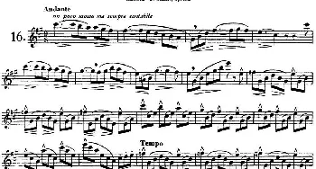 长笛曲谱 | 二十首练习曲作品132号之16  Garibold (加里波第）