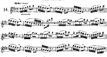 长笛曲谱 | 二十首练习曲作品132号之14  Garibold (加里波第）