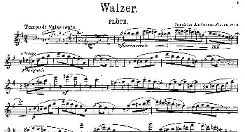 长笛曲谱 | Walzer(Op.55 No.2)[丹麦]安德森