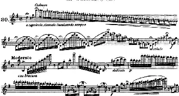长笛曲谱 | 柯勒30首高级长笛练习曲作品75号(NO.30)Kohler (柯勒)