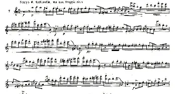 长笛曲谱 | 基于维尼亚夫斯基练习曲的10首长笛练习曲之7(Moyse - 10 Studies After Wieniawski)莫伊斯Moyse