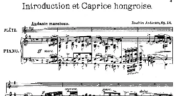 长笛曲谱 | Introduction et Caprice(Op.58)长笛+钢琴伴奏  [丹麦]安德森