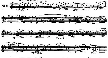 长笛曲谱 | 二十首练习曲作品131号(NO.8)Garibold (加里波第）