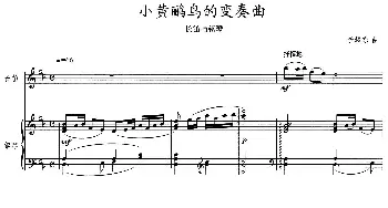 长笛曲谱 | 小黄鹂鸟的变奏曲(长笛与钢琴)李耀东