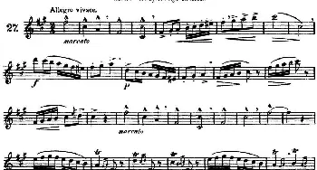 长笛曲谱 | 三十首基础及提高练习曲(NO.27)Garibold (加里波第）