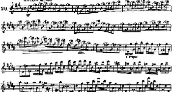 长笛曲谱 | 柯勒30首高级长笛练习曲作品75号(NO.29)Kohler (柯勒)