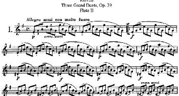 长笛曲谱 | 库劳长笛二重奏大练习曲Op.39——Flute 2(No.1)Kuhlau (库劳)