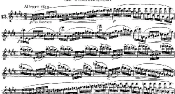 长笛曲谱 | 柯勒30首高级长笛练习曲作品75号(NO.13)Kohler (柯勒)