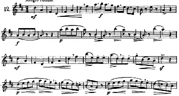 长笛曲谱 | 三十首基础及提高练习曲(NO.12)Garibold (加里波第）