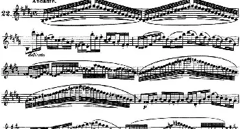 长笛曲谱 | 柯勒30首高级长笛练习曲作品75号(NO.22)Kohler (柯勒)