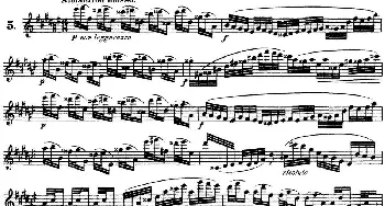 长笛曲谱 | 柯勒30首高级长笛练习曲作品75号(NO.5)Kohler (柯勒）