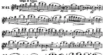 长笛曲谱 | 二十首练习曲作品131号(NO.12)Garibold (加里波第）