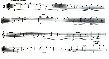 长笛曲谱 | 三十首小练习曲作品120号(NO.3)Garibold (加里波第）