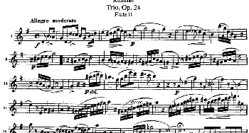 长笛曲谱 | 库默长笛三重奏Op.24(Flute 2)Kummer (库默）