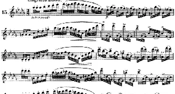 长笛曲谱 | 柯勒30首高级长笛练习曲作品75号(NO.15)Kohler (柯勒)