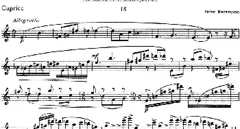 长笛曲谱 | 斯勒新老风格长笛练习重奏曲(第二部分)NO.18  Siegfried Thiele S. (斯勒)