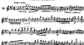 长笛曲谱 | 三十首基础及提高练习曲(NO.26)Garibold (加里波第）