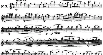 长笛曲谱 | 二十首练习曲作品131号(NO.3)Garibold (加里波第）
