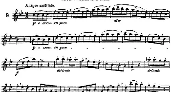 长笛曲谱 | 三十首基础及提高练习曲(NO.9)Garibold (加里波第）
