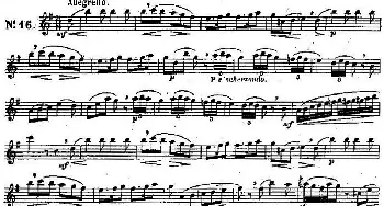 长笛曲谱 | 二十首练习曲作品131号(NO.16)Garibold (加里波第）