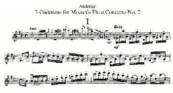 长笛曲谱 | 3 Cadenzas for Mozart's flute Concerto No.2