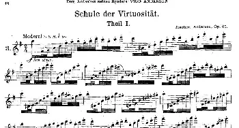 长笛曲谱 | Schule der Virtuosität. Op. 60(3)[丹麦]安德森